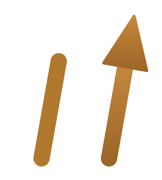 NexiVirta